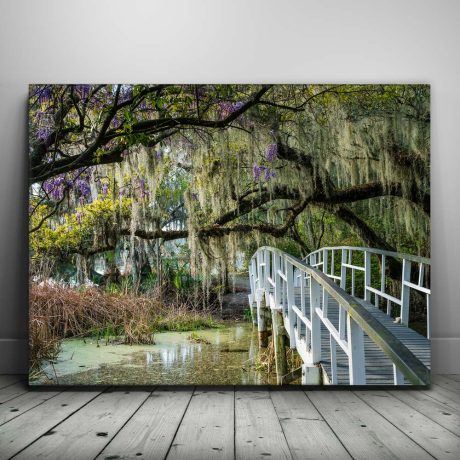 Mossy Southern Bridge Canvas