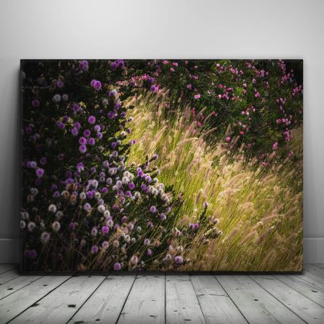 A Happy Little Scene Canvas